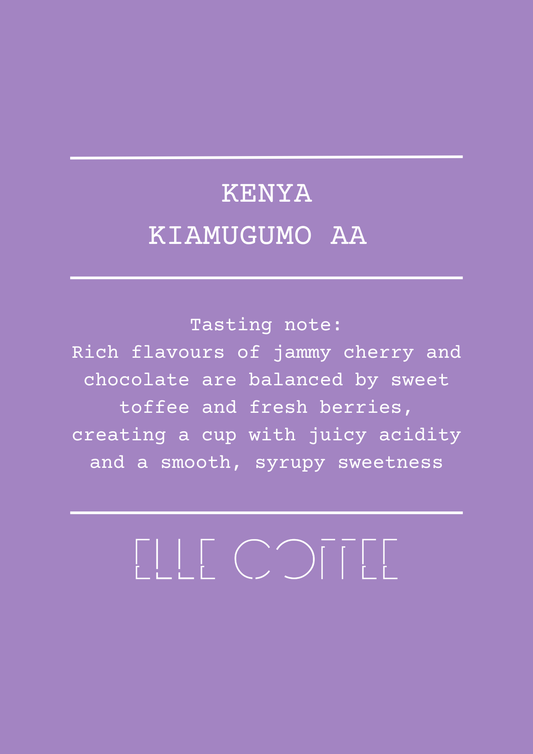 Kenya Kiamugumo AA - Washed - Filter Roast